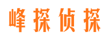 崇文捉小三公司